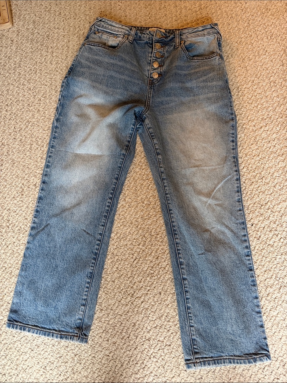 Cleo and Wolf Straight Light Blue Button-Fly Jeans